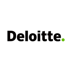 ketos-delphin_clientes_Deloitte